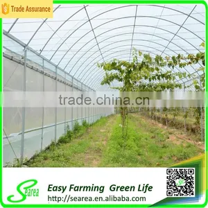 Grape Growing Agriculture Green House for Sale thumbnail-3
