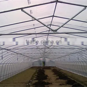 Economical Single Span Arch Pipes Film Greenhouse thumbnail-2
