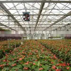 Flower Greenhouse thumbnail-6