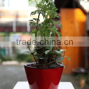 High Quality Colorful Small Mini Decorative Plastic Flowers Pot Home and Office Decoration thumbnail-4