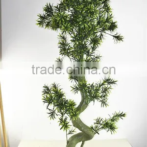 SJ0401117 Landscaping Decorative Indoor Plants/bonsai Podocarpus Plant thumbnail-1