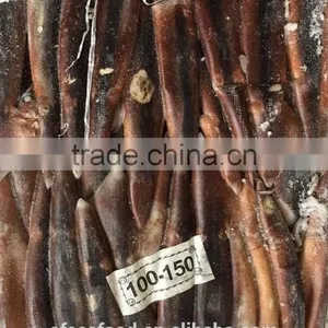 Health Food Frozen Illex Squid With High Nutritious Value thumbnail-2