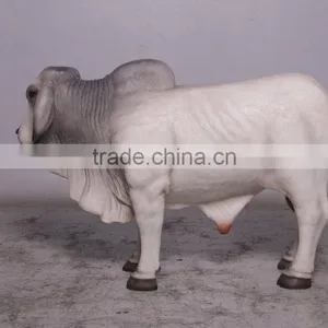 Definitive Brahman Looking Right thumbnail-3