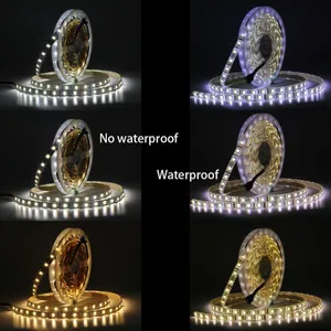 DC12V CCT LED Strip 5050 60LEDs/m,5M/lot IP20 / IP65 Color Temperature Adjustable 2 IN 1 White+Warm White CWW LED Strip thumbnail-5