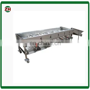 Promotional Multifunctional Automatic Lemon Sorting Machine Apple Grading Machine Orange Sorting Machine thumbnail-3