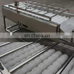 Automatic Lemon Plum Cherry Blue Berry Fruit Washer Brush Rollers Baby Carrot Potato Turnip Vegetable Washing Machine on Sale thumbnail-6