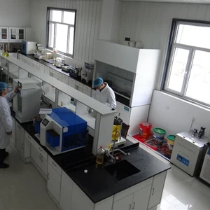 Shandong Gangda International Trading Co., Ltd. company overview - view 2 thumbnail
