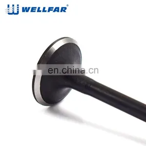 Wellfar D4Ea Automobile Parts Santafe 1.8T Ex Engine Valve For Korean Cars thumbnail-2
