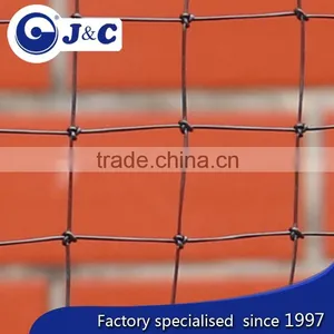 Anti Pigeon Protection Netting for Exhibition Hall,greenhouse Net , Anti Bird Protection Net,PE Agricultural Bird Netting thumbnail-3