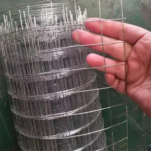 Electric Galvanized Welded Wire Mesh Rolls Square Hole 1/4