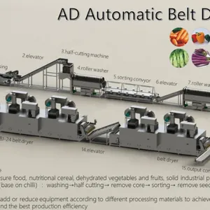 Automatic Belt Drying Processing Line thumbnail-2