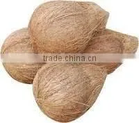 Exporting Fresh Coconut thumbnail-1