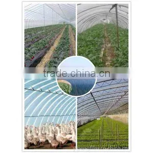 Greenhouse Film thumbnail-1