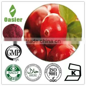 Offering Cranberry Extract Anthocyanins.Cost Effective! thumbnail-1