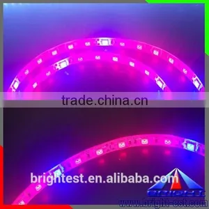 IP65 Soft Glue Led Grow Strip, 5050 Led Grow Strip Plant, Smd3528 Led Grow Strip Light thumbnail-1