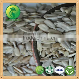 Bakery Sunflower Kernels High Quality From Factory thumbnail-1