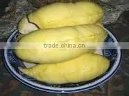 BEST PRICE VIETNAM FROZEN DURIAN thumbnail-2