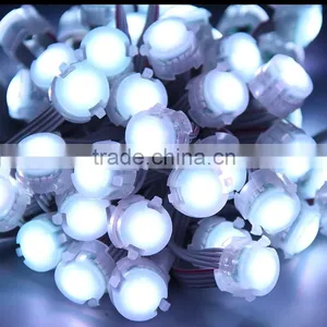 Contact Supplier High Light Efficiency ce Approval Waterproof Rgb 5050 Led Light thumbnail-3