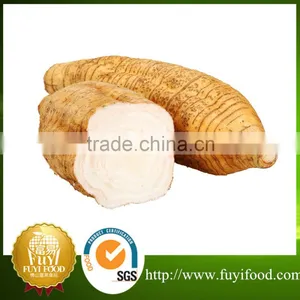 Fresh Chinese ArrowRoot thumbnail-1
