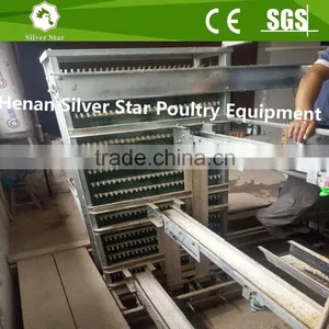 Automatic Egg Collecting Machine for Chicken Layer House Shed thumbnail-1