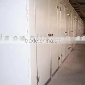 Polyurethane Insulation Cold Room Doors-auto-closing thumbnail-1