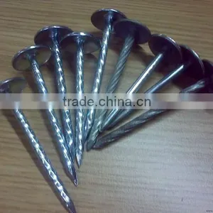 Roofing Nail thumbnail-1