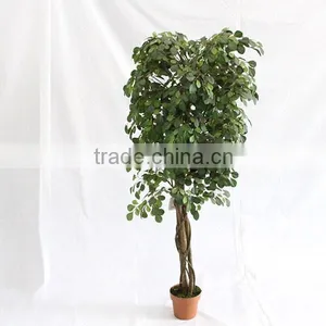Fake Artificial Money Pant Tree Woode Trunk Home Decoration thumbnail-2