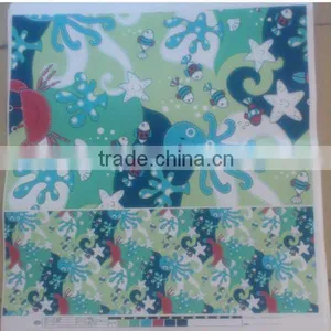 PVC Sheet for Raincoat Plastic Raincoat thumbnail-4