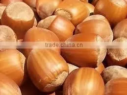 Hazelnuts thumbnail-1
