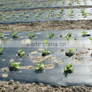 Agricultural PE Protective Plastic Mulch Film thumbnail-4