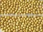 Chinese Small Yellow Beans Supplier thumbnail-1
