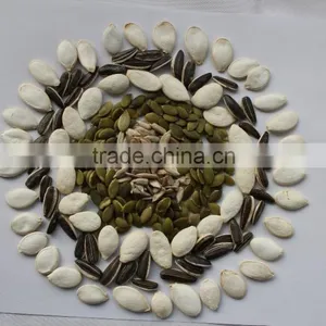 Popular Products Chinese Pumpkin Seeds thumbnail-3