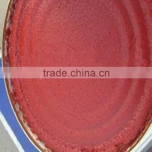 Price Canned Tomato Paste Tomato Packaging Ketchup thumbnail-3