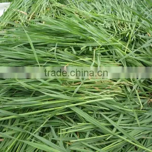 2016 100% Purity Organic Vegetable Powder Barley Grass Powder thumbnail-2