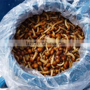 Good Flavour and Fresh Canned Whole Mushroom in Salt Water thumbnail-1