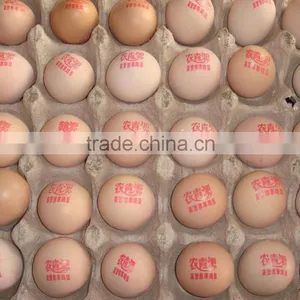 Commerical Yoghourt Date Coding Machine/milk Date Printer/dairy Product Date Printing Machine thumbnail-6