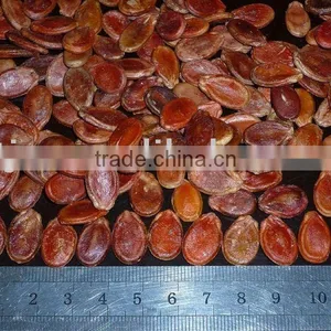 New Crop Red Watermelon Seeds thumbnail-1