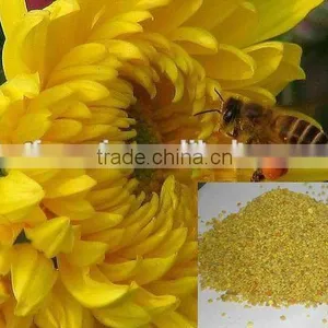 100% China High Quality CC Pollen Bee thumbnail-2