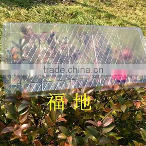 Flat Seed Tray for Rice Seedling/cultivating Rice Sprouts thumbnail-2