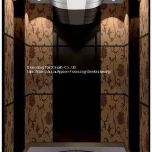 Luxury Etching Cabin Passenger Elevator thumbnail-1