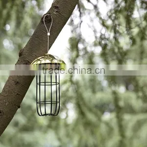 Bird Feeder thumbnail-2
