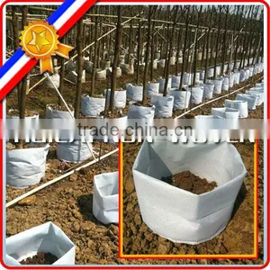 Non Woven Fabric Tomato Grow Bags, Tree Planting Bags thumbnail-3