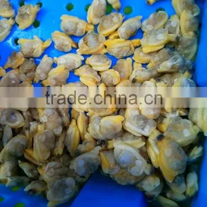 Frozen Clam Meat in Discount and Hot Sale thumbnail-3