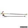 Ski and Walking Poles thumbnail-1