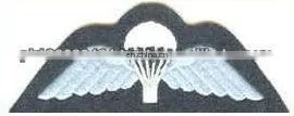 Parachute Wings thumbnail-1