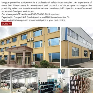 Gaomi Longyue Protective Equipment Co . Ltd company overview - view 1 thumbnail