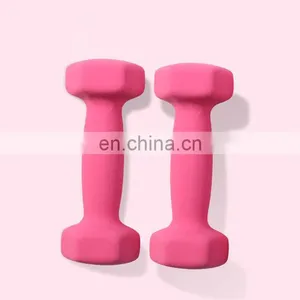 Factory Direct Sales Cheap Dumbbell Sets Gym Weights Dumbbells Dip Plastic thumbnail-6