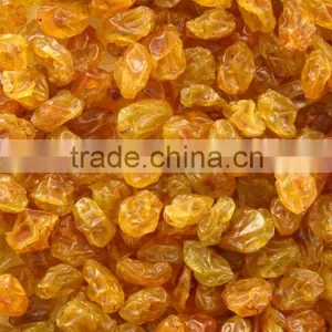 PREMIUM INDIAN RAISIN thumbnail-1