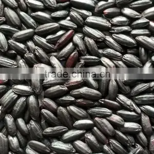 Organic Black Rice Steamed thumbnail-1