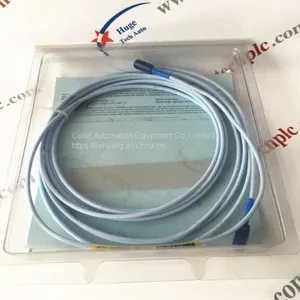 Bently 3500/22M Series Transient Data Interfaces thumbnail-1